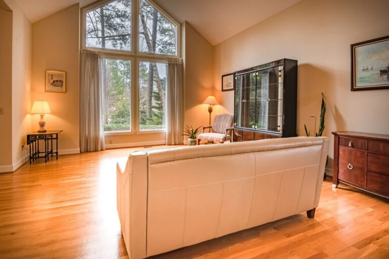 Living room with sofa facing windows